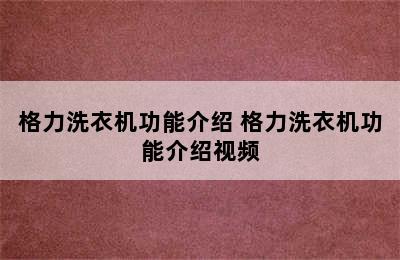 格力洗衣机功能介绍 格力洗衣机功能介绍视频